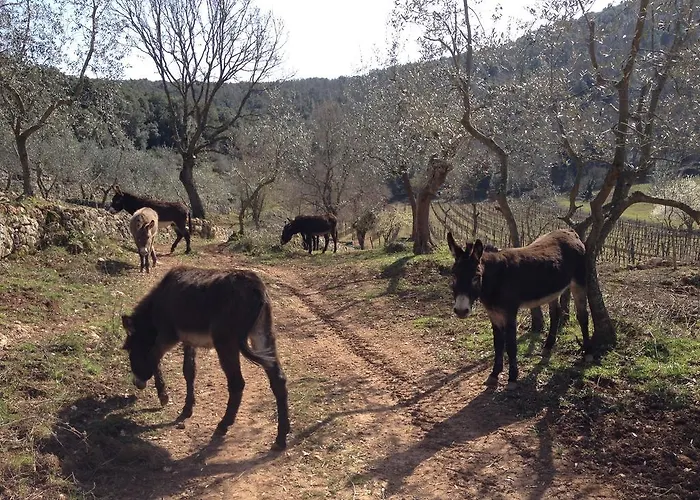 Agriturismo Biologico Ebbio Κατάλυμα σε φάρμα Monteriggioni