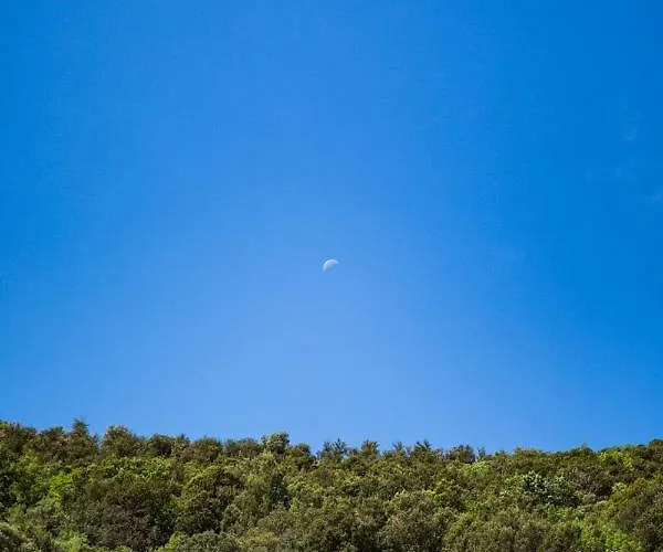 Agriturismo Biologico Ebbio Κατάλυμα σε φάρμα *